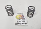 BriSCA Micro F2 OFFICIAL VALVE SPRINGS