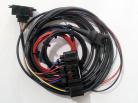 Spare Zetec Wiring Harness (OMEX) Official 2 Litre ZETEC